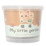 Limitless Baby Gardening Kit Mini Paint and Plant Flower Growing Kit - Small Flower Planting Kit for Outdoor Kindergarten Fun, Kids Plant Kit for Mother's Day
