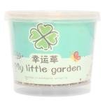 Limitless Baby Gardening Kit Mini Paint and Plant Flower Growing Kit - Small Flower Planting Kit for Outdoor Kindergarten Fun, Kids Plant Kit for Mother's Day