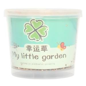 Limitless Baby Gardening Kit Mini Paint and Plant Flower Growing Kit - Small Flower Planting Kit for Outdoor Kindergarten Fun, Kids Plant Kit for Mother's Day