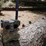 Technaxx 4G Wildcam TX-189 + 5W Solar Panel - 4MP FullHD Video Resolution, PIR Motion Detection up to 12m, 18000 mAh Battery Powered, Night Vision, 4G Mobile Network Connection, Viewing Angle 100°