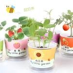 Limitless Baby Gardening Kit Mini Paint and Plant Flower Growing Kit - Small Flower Planting Kit for Outdoor Kindergarten Fun, Kids Plant Kit for Mother's Day