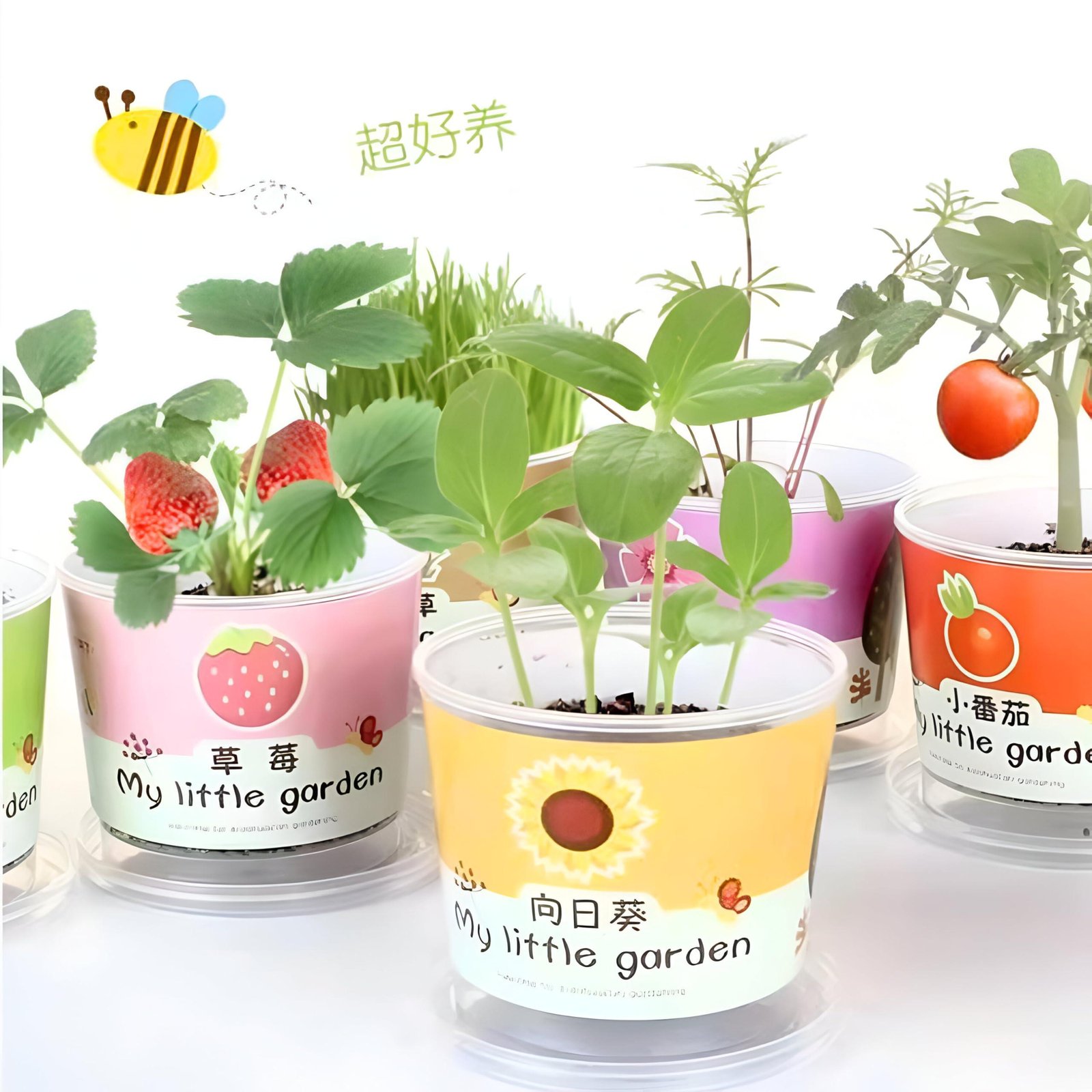 Limitless Baby Gardening Kit Mini Paint and Plant Flower Growing Kit - Small Flower Planting Kit for Outdoor Kindergarten Fun, Kids Plant Kit for Mother's Day